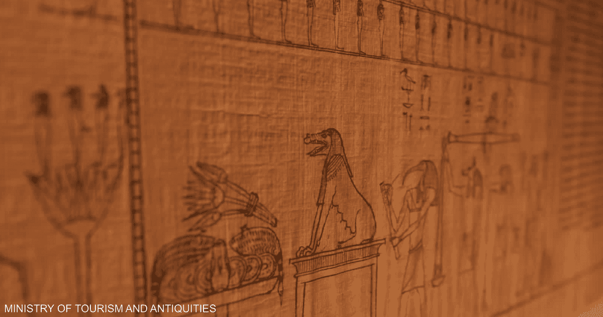 مصر.. رحلة مثيرة لأكبر بردية بالخط الهيراطيقي في سقارة