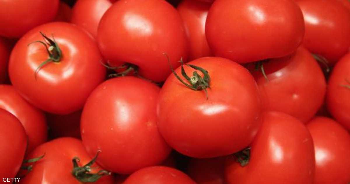 المغرب.. قرار مهم لكبح ارتفاع أسعار الطماطم