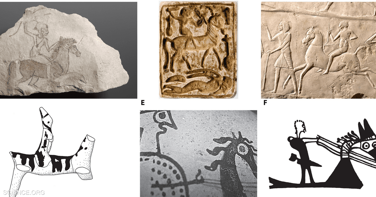 العثور على أول دليل على ركوب الخيل منذ 5000 عام