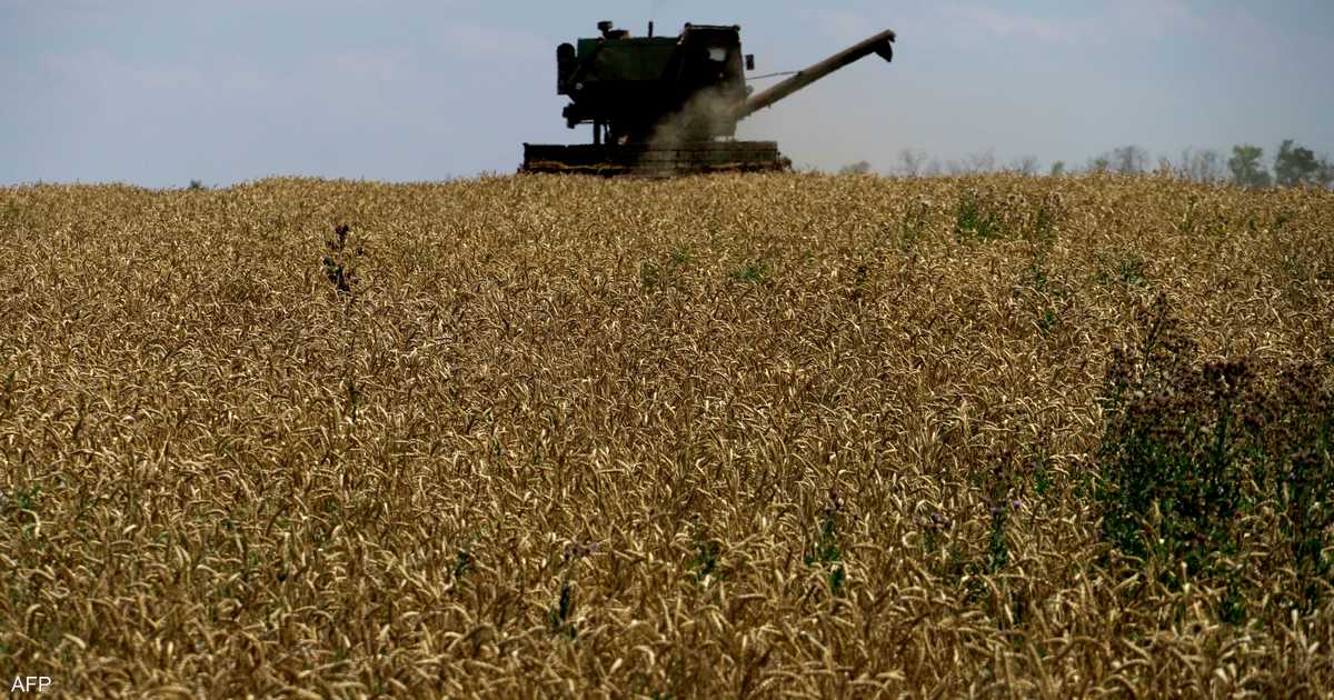 باقي أسبوعان.. ما مصير اتفاقية الحبوب الأوكرانية الروسية؟