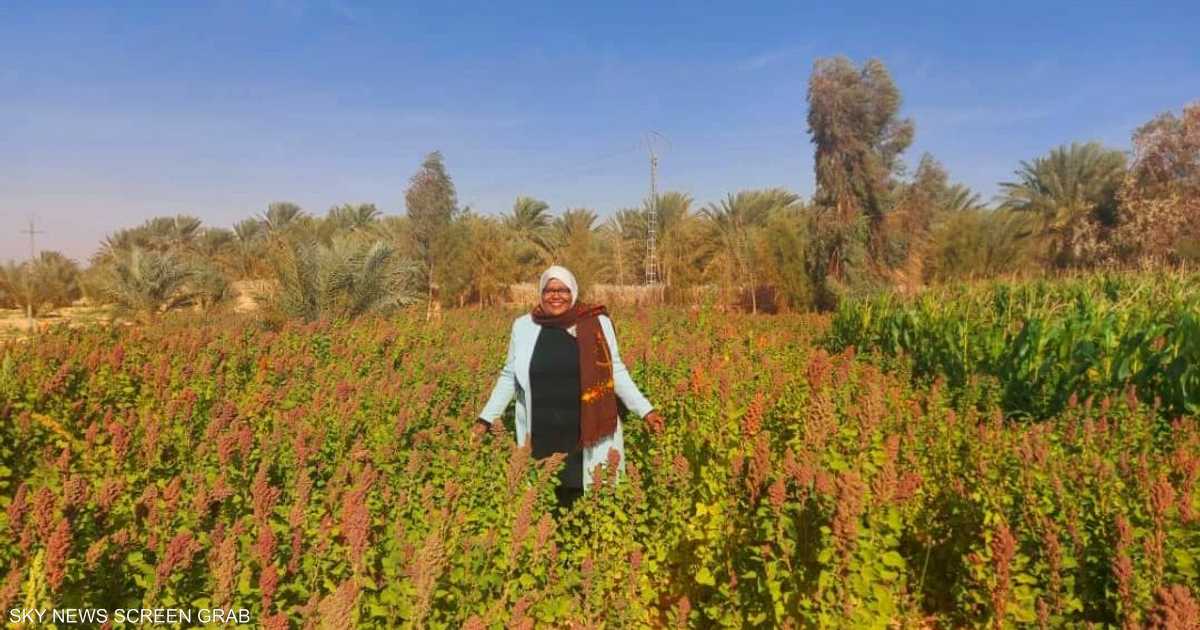 حليمة خالد.. قصة جزائرية روّضت زراعة “الكينوا” في الصحراء