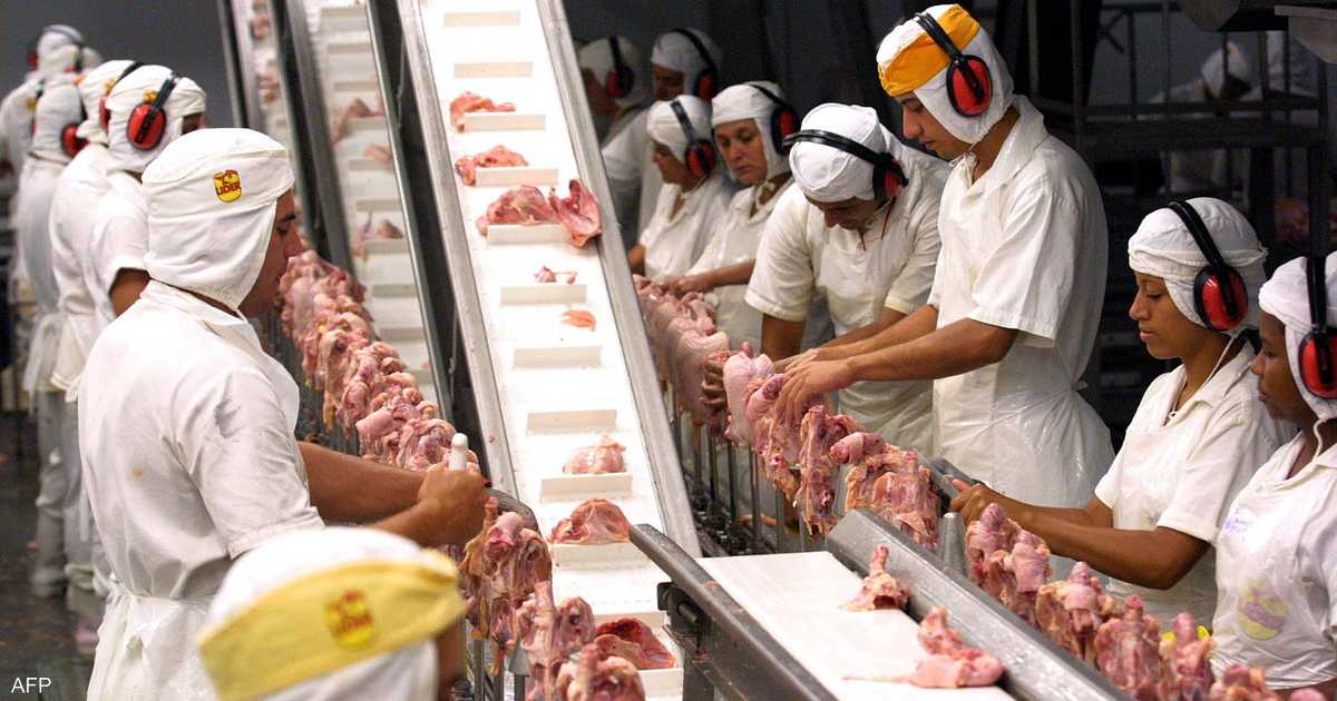 الدجاج البرازيلي “يغزو” الأسواق العربية