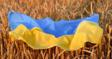“الخارجية الفرنسية”: وصول 30 ألف طن من القمح الأوكراني إلى ميناء الحديدة باليمن