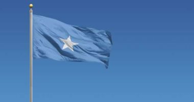 الصومال والإمارات يبحثان سبل تعزيز التعاون الثنائى