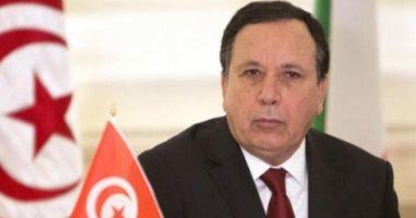 مسئول تونسي يحذر من تنامي “ظواهر جديدة” تهدد استقرار القارة