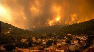 سبب حريق غابات الساكت في الجزائر وعدد الضحايا